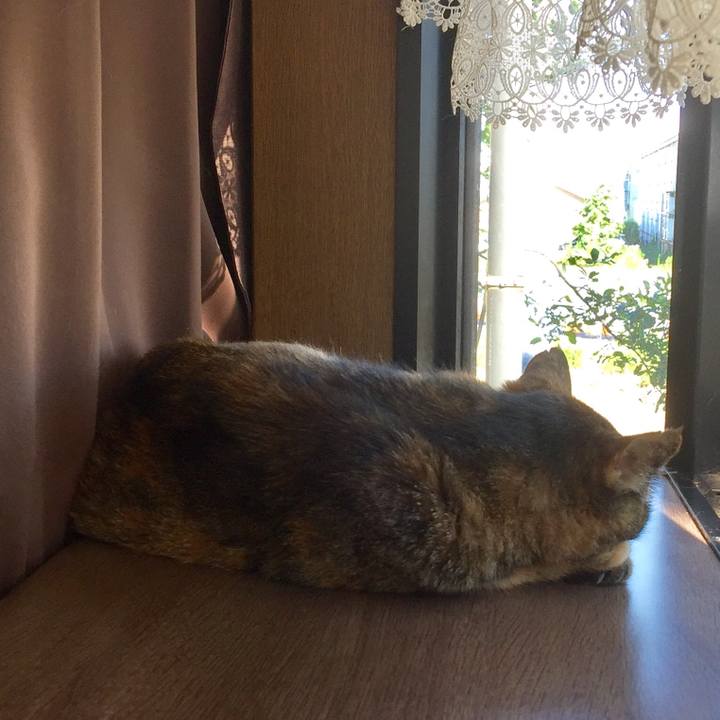 3a3349cb c51c 4b02 b616 464afc75805d