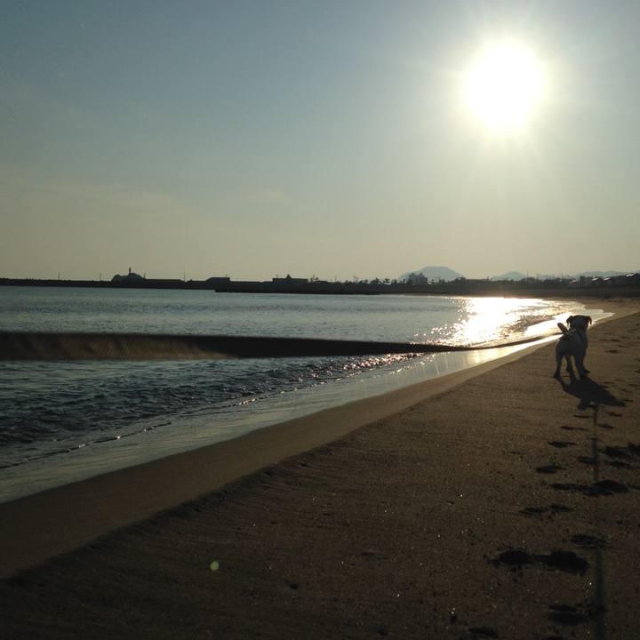 3a335a11 38bb 491e 9788 96b4185ad1cd