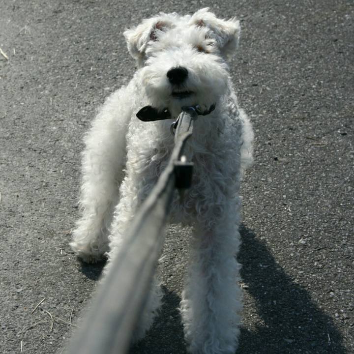 3a336bf9 48c5 4fb7 bbec c9d822adcc7d