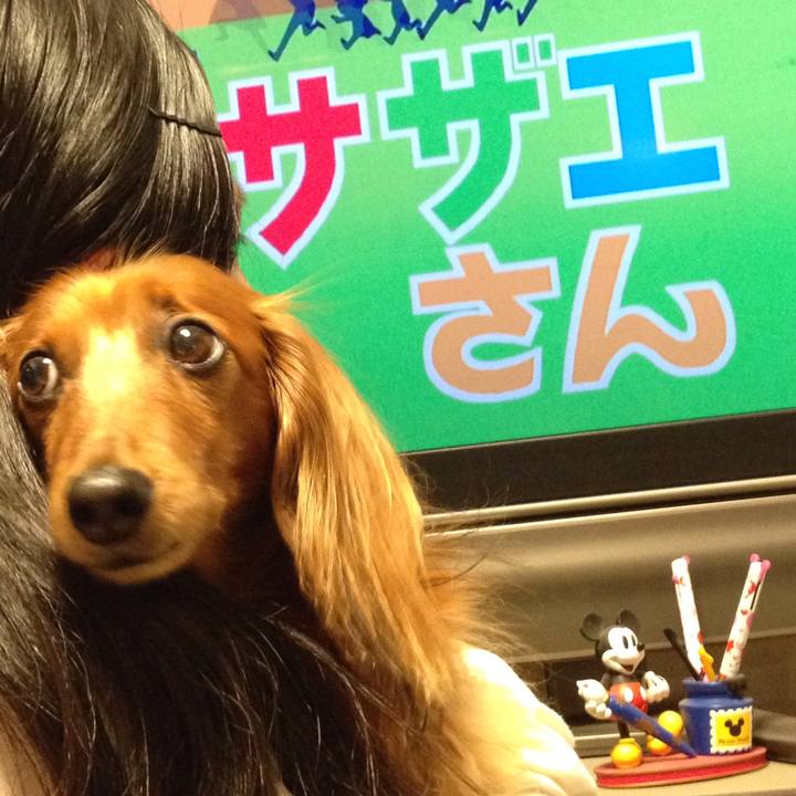 3a3392b2 b941 4a86 911a 905d24b16450