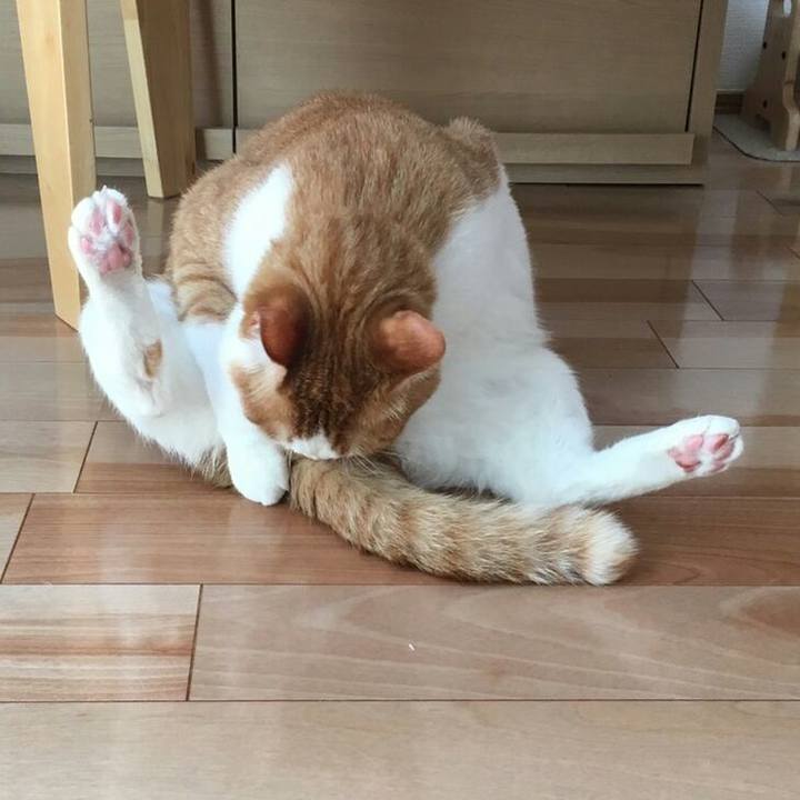 3a33ade1 7cd6 4d14 98c3 391aaf46565f