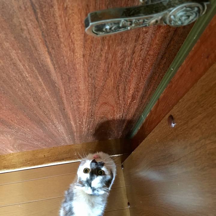 3a344db0 1ffa 4dc2 a792 40928e1725c9