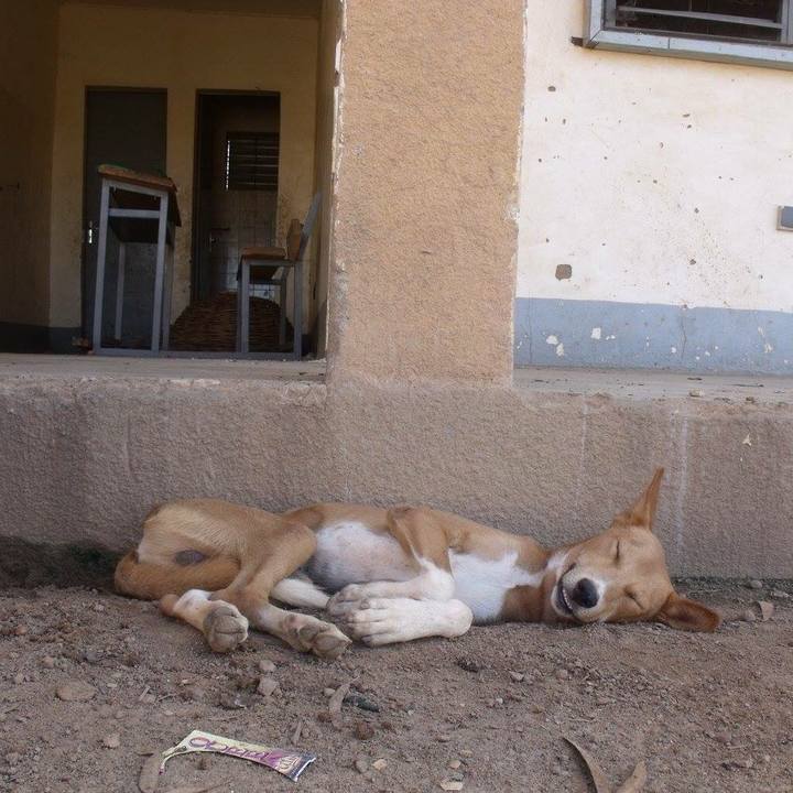 3a34d81f 1d63 4380 b022 596a8cbfb7a9