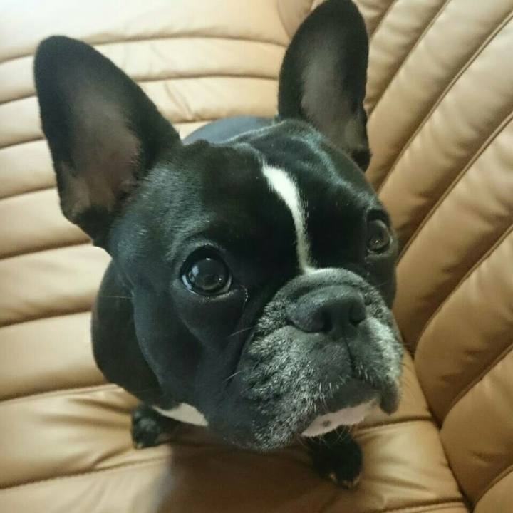 3a34f10e adc9 4f40 b1b1 83a9158e45c0