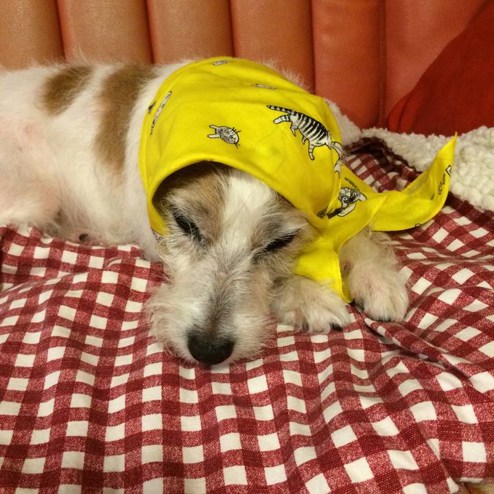 3a35774d d848 4c94 b44a c4ec00703cd0