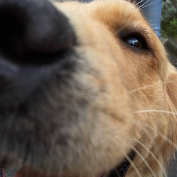 3a362dae d029 42cc b551 2a4e50b9dd9d