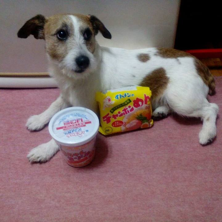 3a36bbb5 7052 4785 bf31 de994d275458