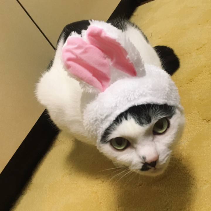 3a36d3f5 d2bc 472c 85ee 5a96327531ca