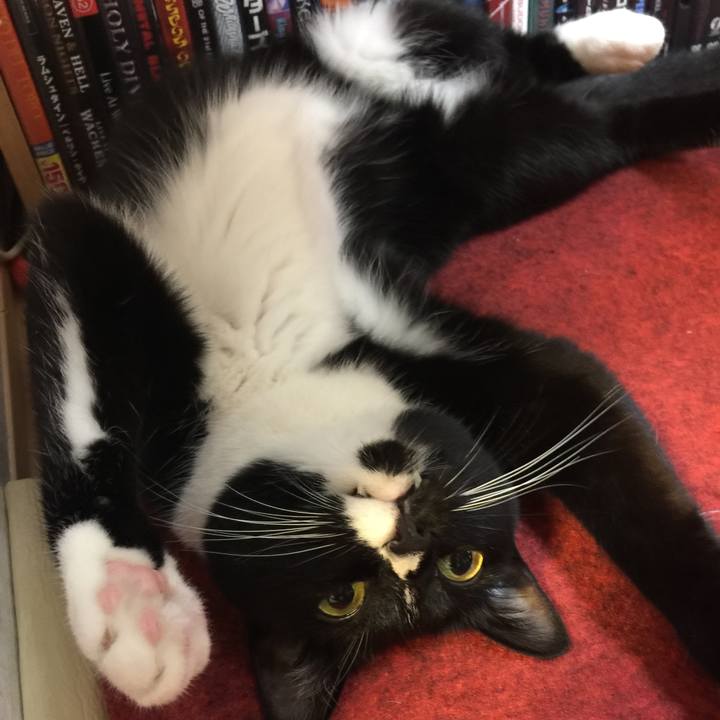 3a370b90 c88f 4a93 95ef 97819b6ffbba