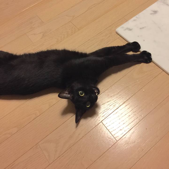 3a37236b 0111 4e26 8884 7549a2c5fcfe