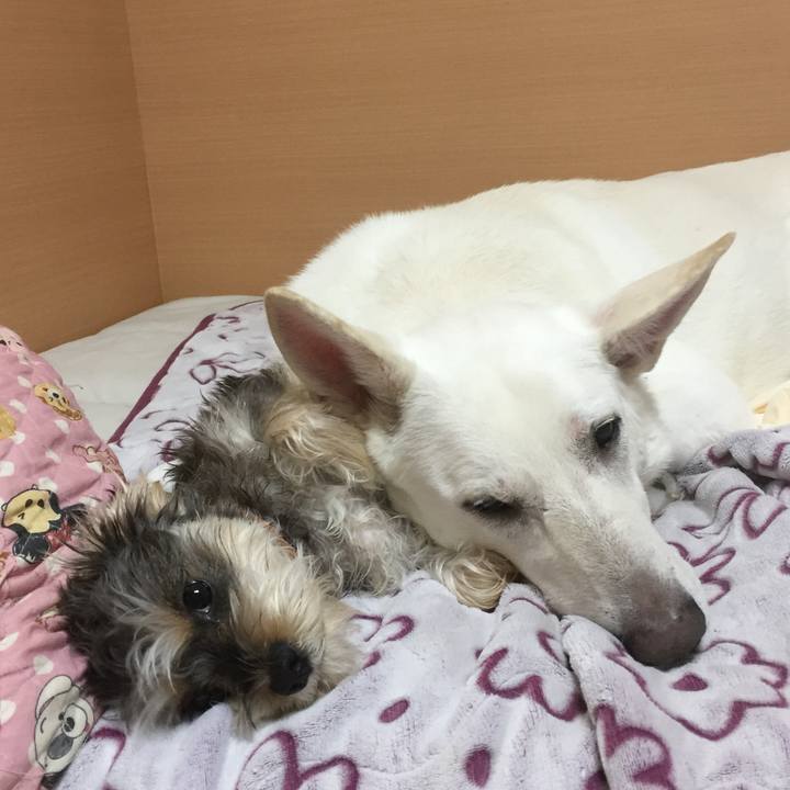 3a372f7a d4ab 4c3e b14e c54d4cfdb0f6