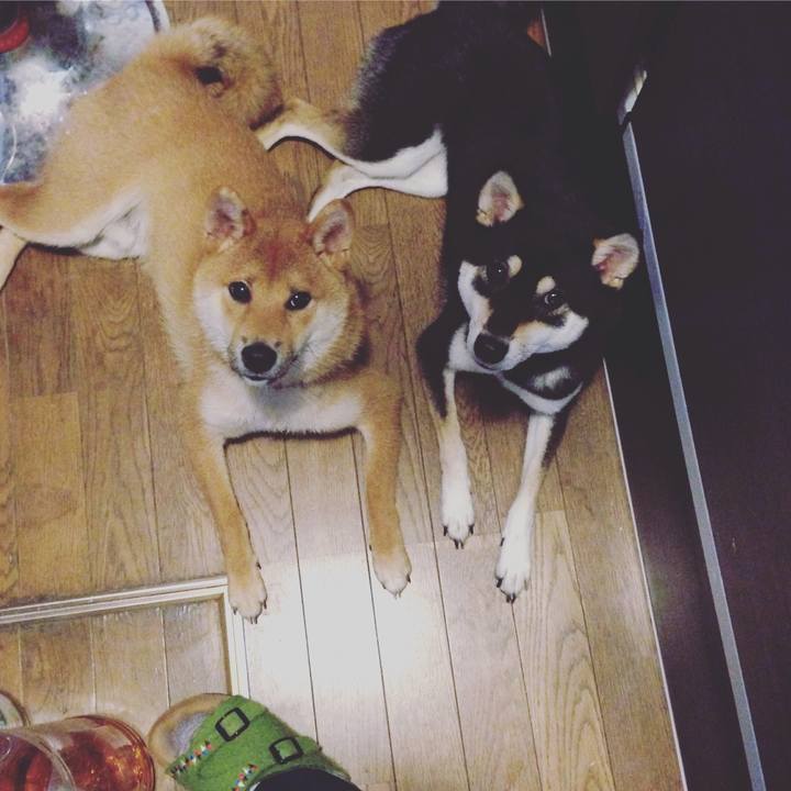 3a373324 2c7c 488c 856b 16df5ef86c29