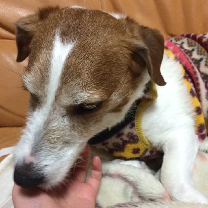 3a3745e0 716a 402c 9097 53c904dd9e67