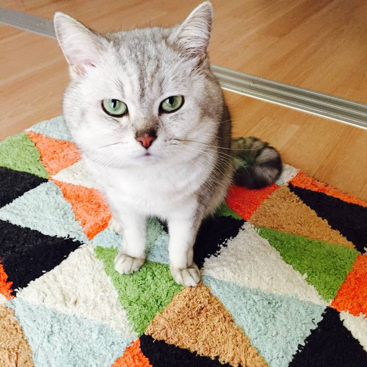 3a37471b 504b 4637 8555 fa469f943bd8