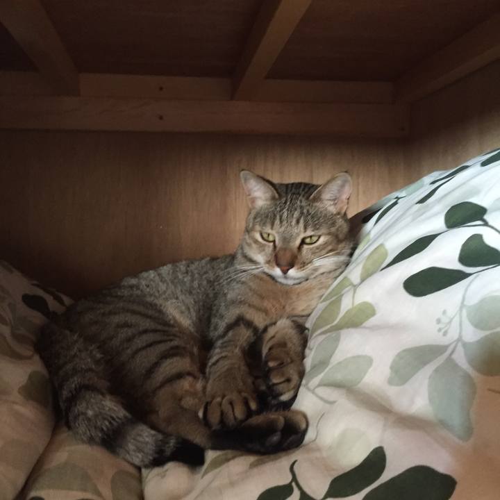 3a376f01 2f4b 4771 b0f5 8c5a15f34744