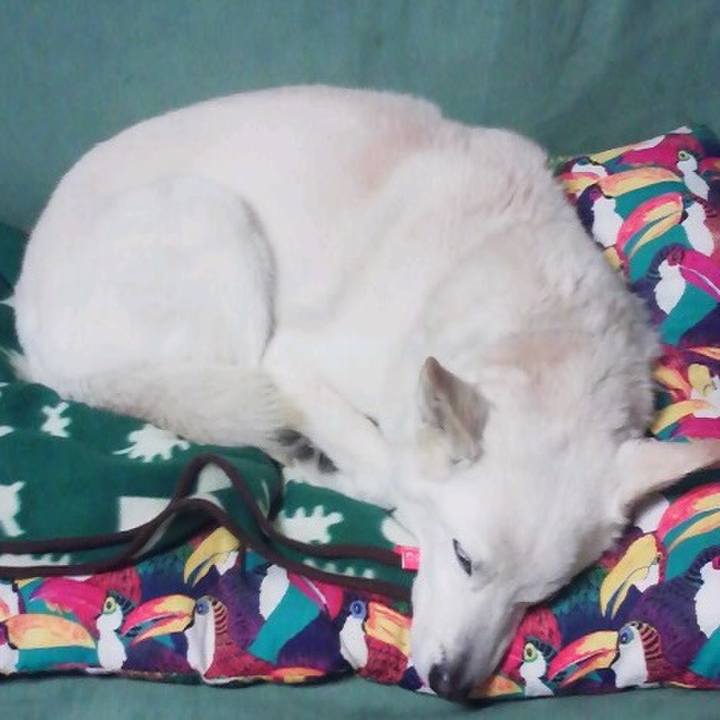 3a37841d 7319 4816 97b8 107c4bf0a399