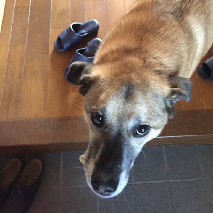 3a37d03a 0a26 4d06 b007 16a1bd7ac5ac