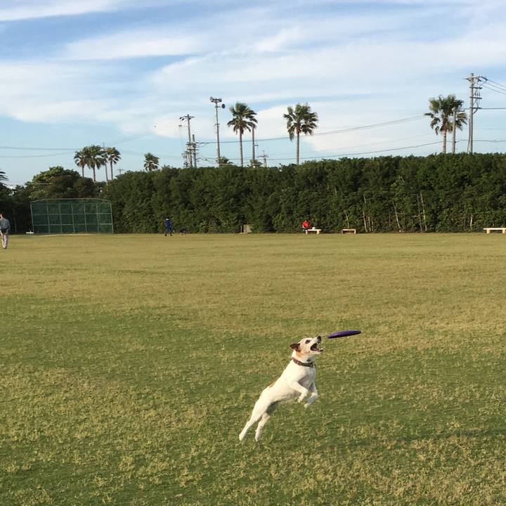 3a3839d9 4d99 4032 be60 1419ef493da8