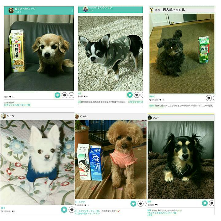 3a386f47 8f2d 490a ae96 335b185ae990