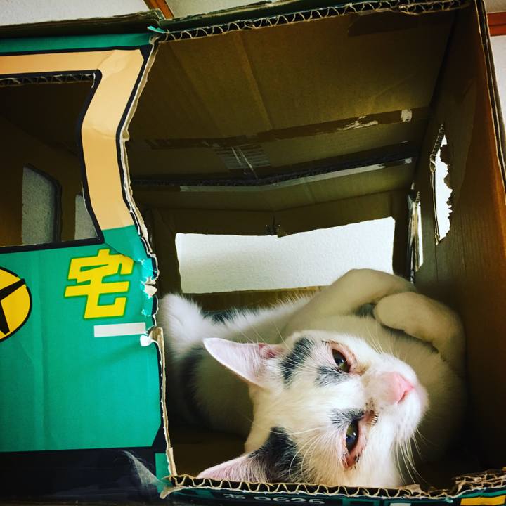 3a391f63 43d0 4049 8333 1c608a1b72a1