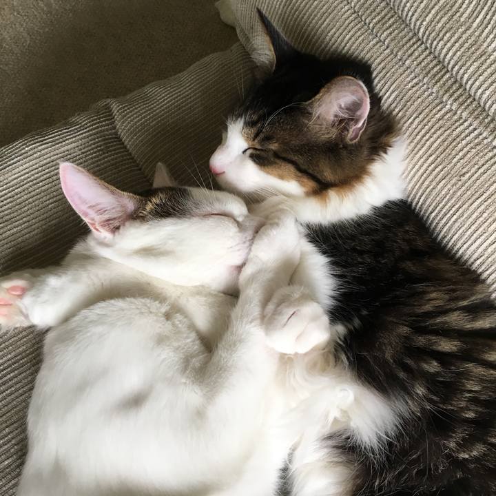 3a3a03ff aba4 4230 b5bc f1ce6533fb8e