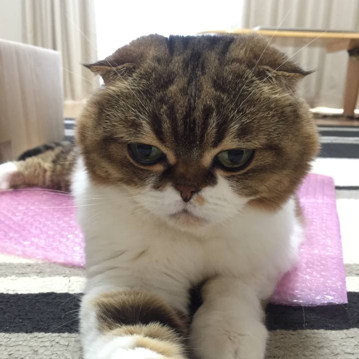 3a3a082a 8c0c 41b6 9c7f 2e676eb38aad