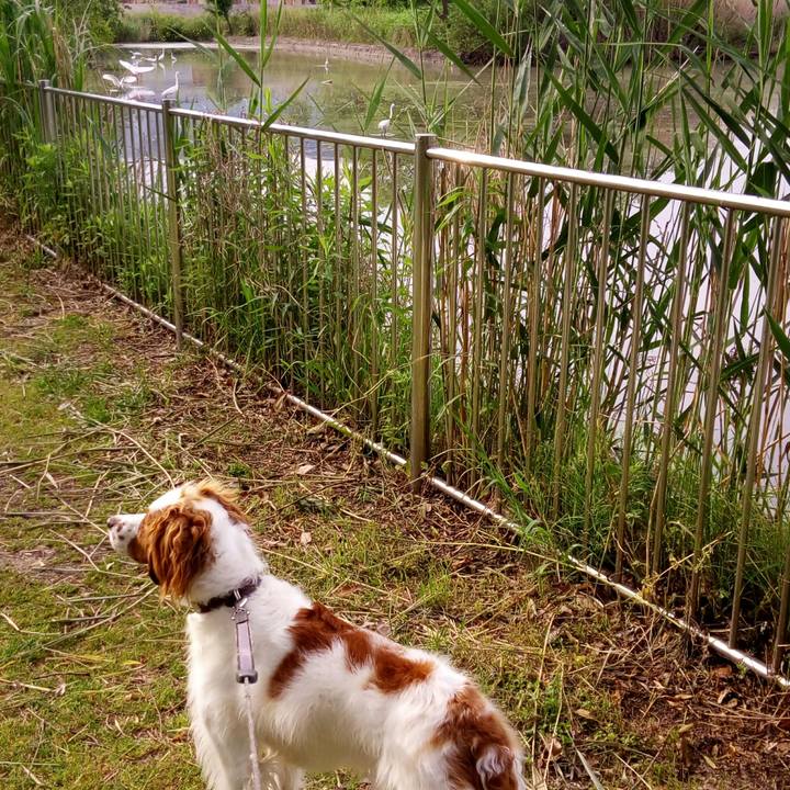 3a3a5fa7 457b 4e5d 9fd4 c015eca569eb