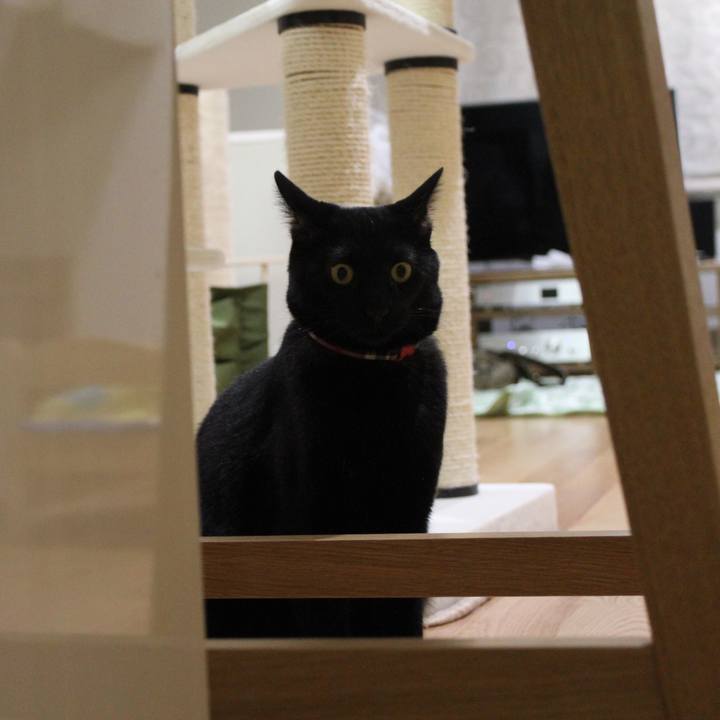 3a3ac93d 8822 4d17 a643 d7bf6d859fdc