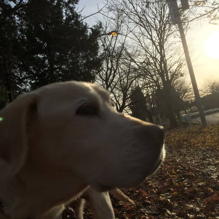 3a3ad581 0269 4037 8620 5601881a83fc