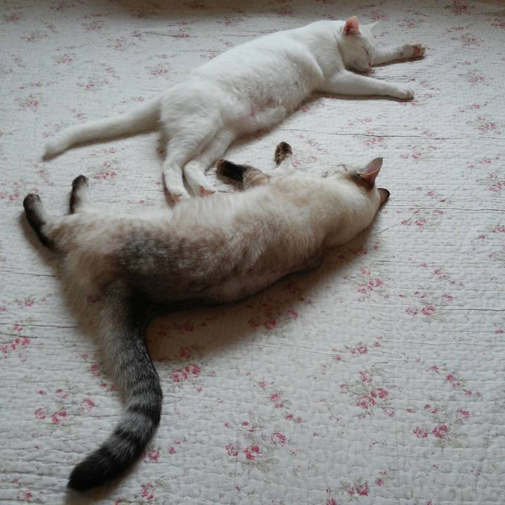 3a3bcf14 a1d0 4756 bf6f 00927e7ff6d6