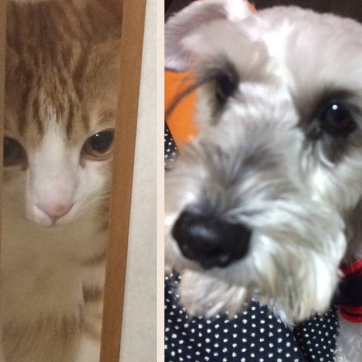 3a3c0977 c003 49af 8c42 53dc67fe8094