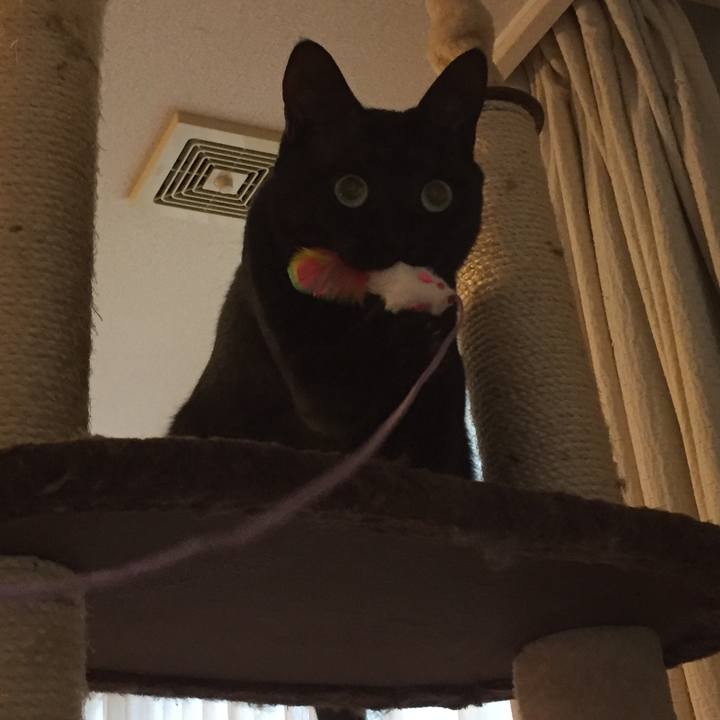 3a3c2c6c 391b 45b3 95a7 6ff41f84ec21