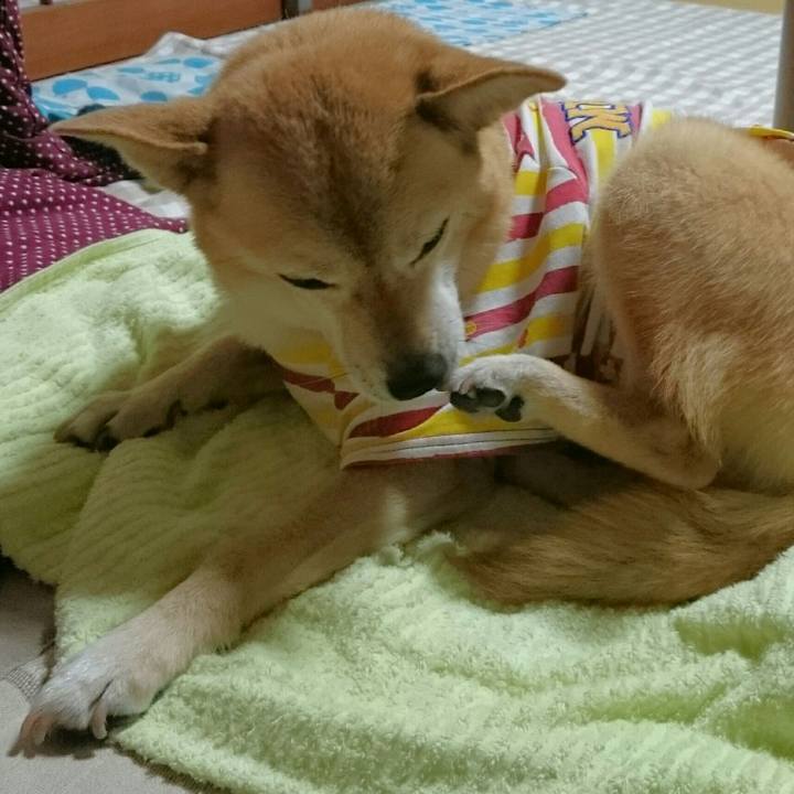 3a3c4846 3deb 4973 aa44 d67811097cf2