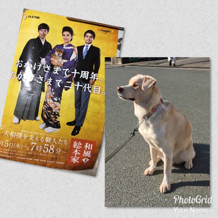 3a3c6b00 c775 4ccf abfa ca8575b04b18