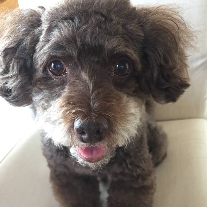 3a3cc48e 340b 4ff5 a92f beb4a48e8369