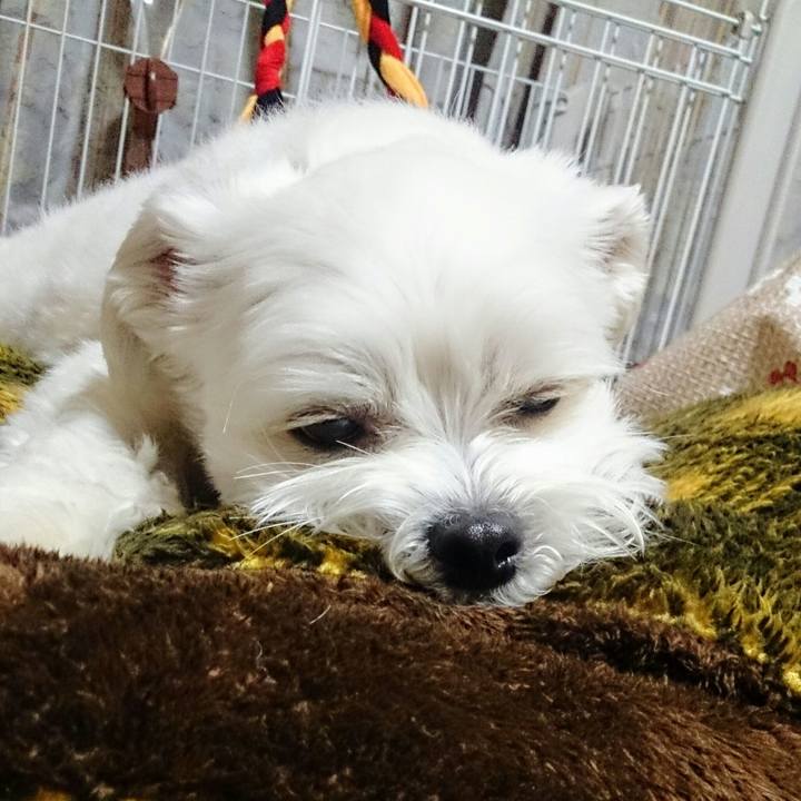 3a3d222a 316d 4828 b440 d7b75b18ab88