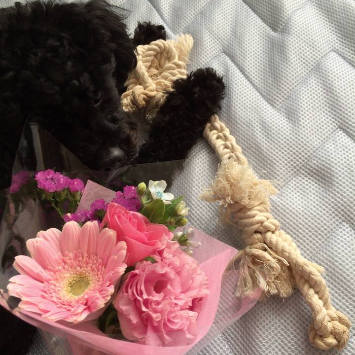 3a3d7376 47a2 4f61 b887 f7c231edca96