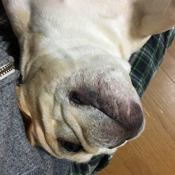 3a3e113b ec86 4a42 b595 7a1b8c1c996a