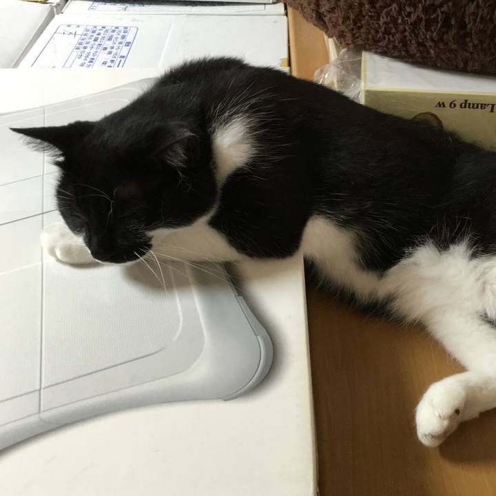 3a3f2947 c9f4 470d 8834 402eaa45565c