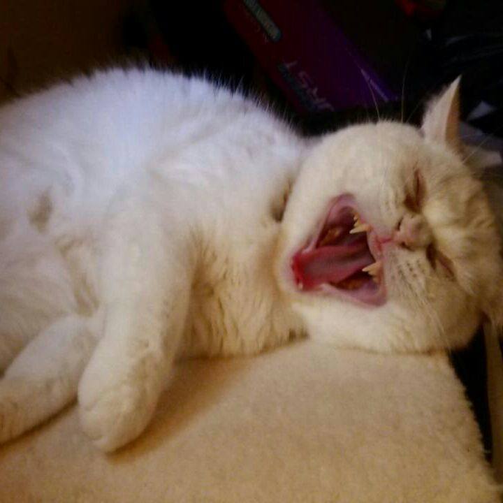 3a3fad8f 7e0b 4fe2 87d8 db3d5614b9fa