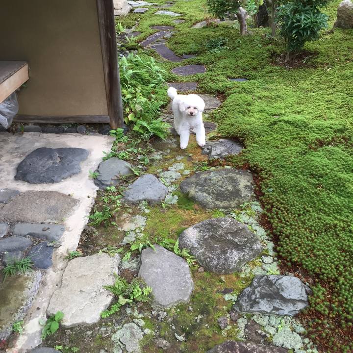 3a4000b5 4247 402d a69b 296c33681605