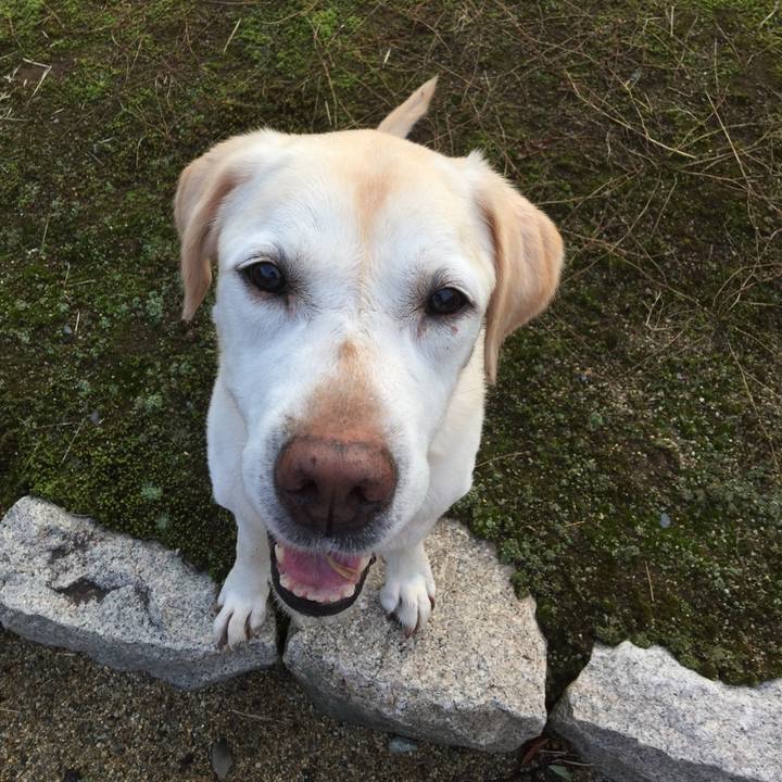 3a4045ea 35cc 47ca 9cff bc794e8c813c