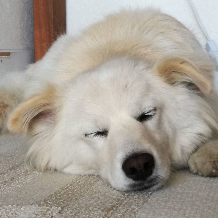 3a406069 619d 406b aaeb 3eed3b682ca8