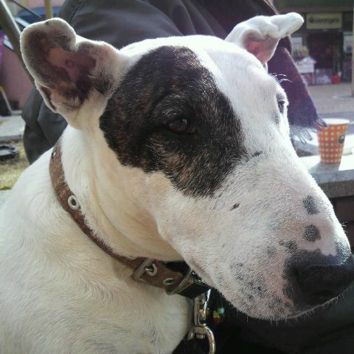 3a4079dd 1c26 4e0e a6dd 0e05d0b0ac88