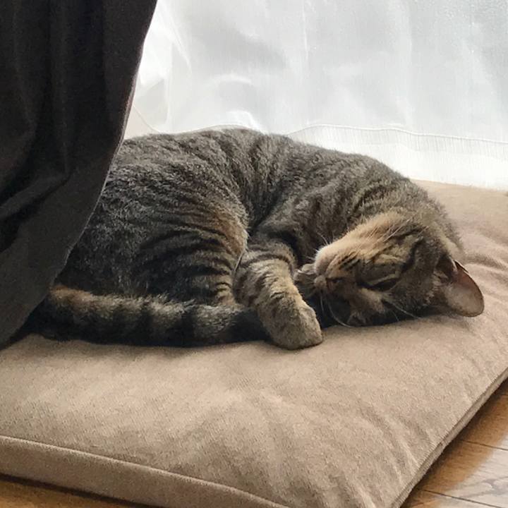 3a40cbdc 8b84 4111 9538 dc56812d3ea5