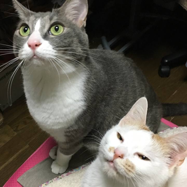 3a41537f 9e9b 4126 9af2 dd1d5b95068b