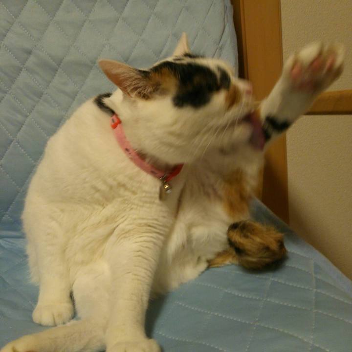 3a4184fc f187 4b44 993f f0573aa3b8df