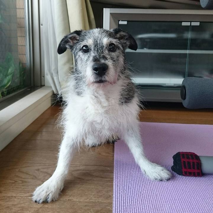 3a41b32d 26ec 419a a711 718d8a1a6772