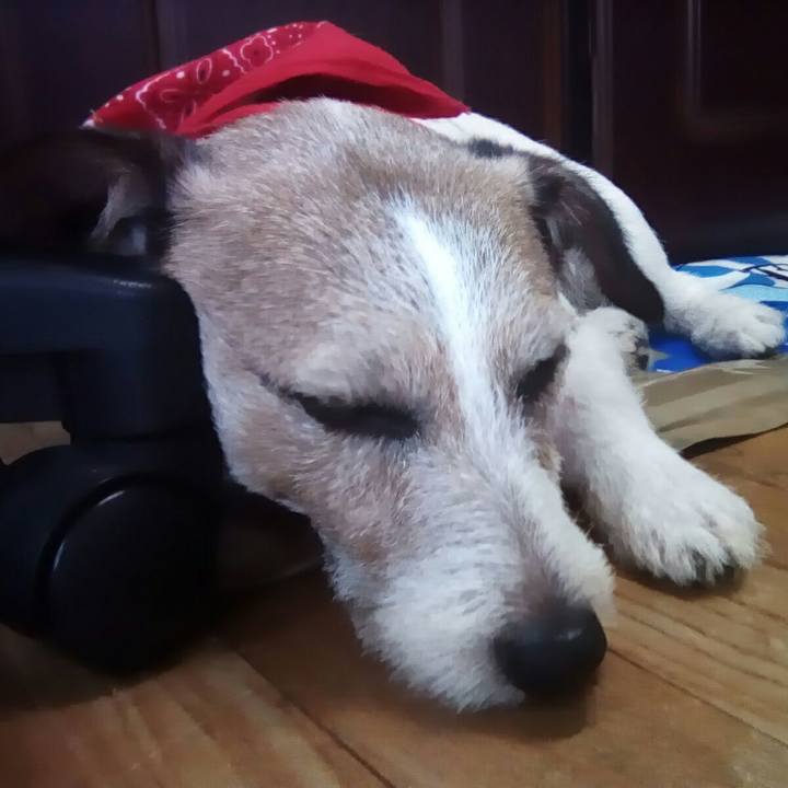 3a41cd03 4a7e 4d90 be96 5fee71ea6f04