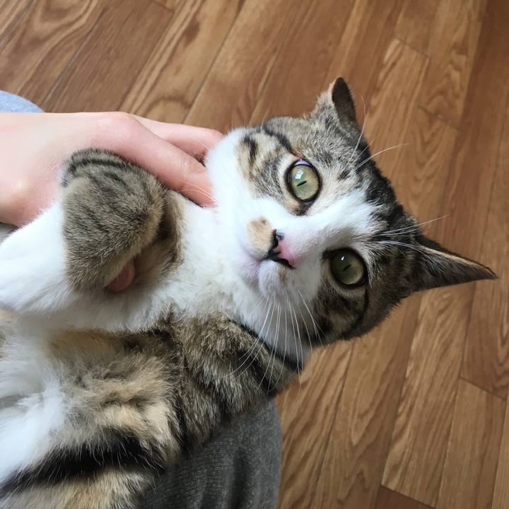 3a42a0d8 eb7f 4429 8fdc 9948e212b4b7